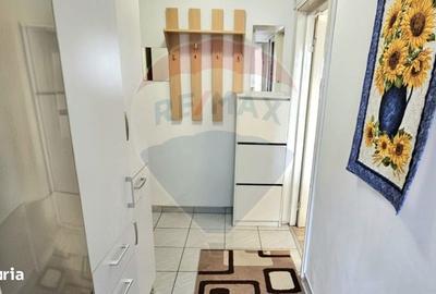 Apartament cu 2 camere, mobilat în Milcov