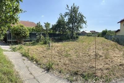 Parcela constructie de vanzare in Sacalaz - Strada Garii | 1015 mp - 15