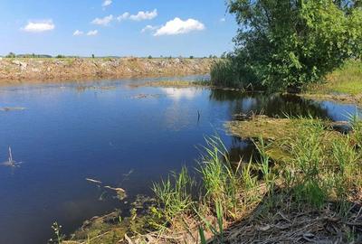 Casă cu 4 camere cu Teren 2500 Mp în Central - 6