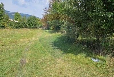 Teren 1,672mp Straja, Comuna Tarcau - 11