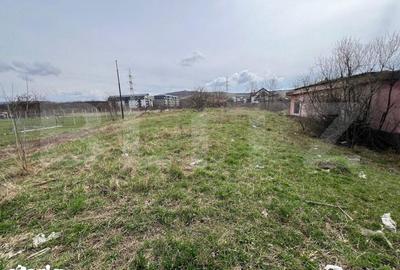 Teren de 4400 mp, în Viișoara - 2