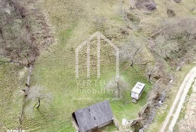 Teren de 12167 mp, în Câineni - 8