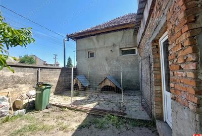Casă cu Teren 2155 Mp în Periam - 18