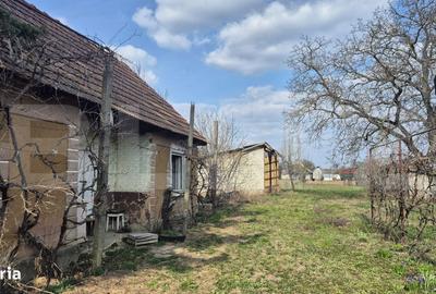 Spațiu comercial, în Micula - 3