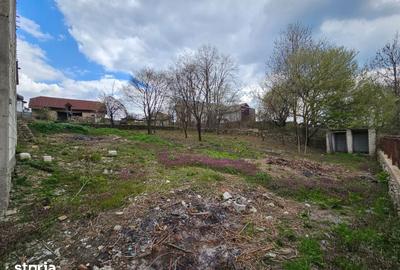 Casă cu Teren 1863 Mp în Baia de Fier - 3