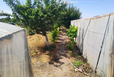 Casă cu 6 camere cu Teren 1596 Mp în Nerău - 2