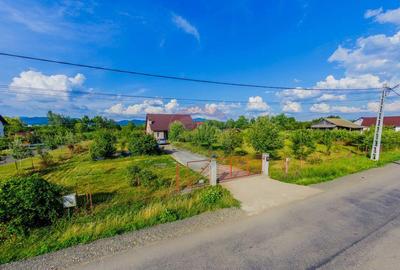 Casă cu 4 camere cu Piscina în Bozânta Mare - 21