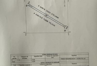 Teren de 6166 mp, în Palas - 2