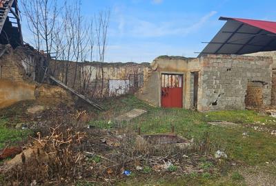 Casă individuală cu 4 camere cu Teren 6700 Mp în Gelu - 6