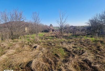 Spațiu comercial, în Gârlești - 10