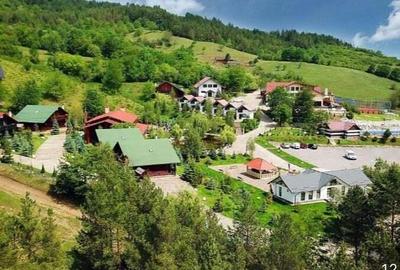 Afacere vand teren intravilan 4.2 ha agrement parc foto-voltaice in Liubcova - 5