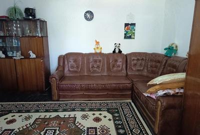 Casă cu 3 camere cu Teren 3000 Mp în Central - 7