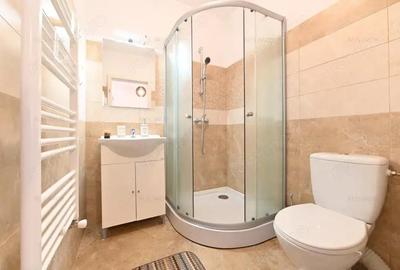 Duplex la intrare in Dumbravita - pozitie EXCELENTA! complet mobilat si utilat - 14