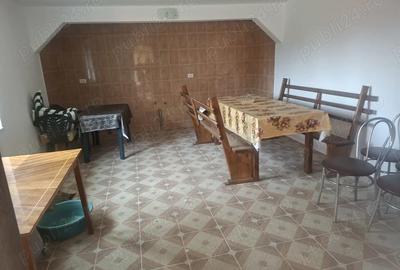 Casă cu 3 camere cu Teren 2800 Mp în Gherteniș - 10