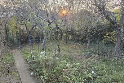 Teren de 313 mp, în Tudor