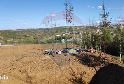 Teren de 1200 mp, în Iorga - 2