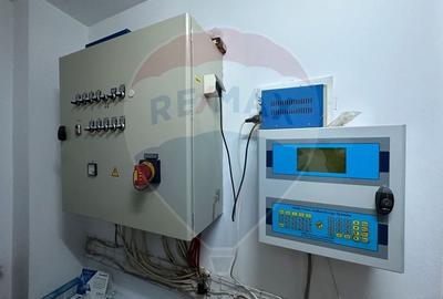 Ferma porcine la cheie - 9