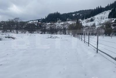 Teren de 4000 mp, în Central - 2