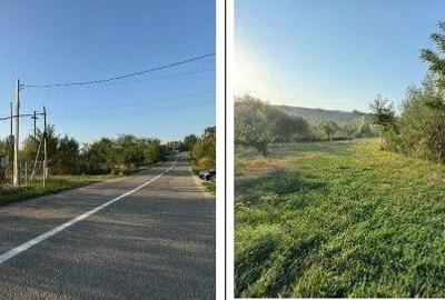 Teren partial intravilan Romani, judetul Neamt, ID: R2326723 - 1