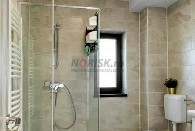 Vila 5 camere - Teren 1300mp - Zona linistita - Darvari-Domnesti - 10