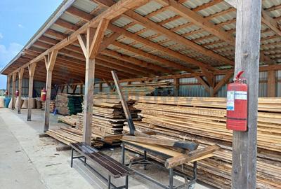 Spațiu industrial, de 1,290 mp, în Sălard - 16