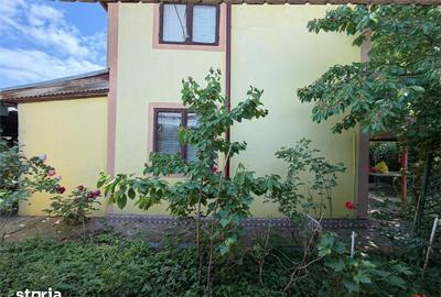 Casă cu 3 camere cu Teren 1270 Mp în Vânători - 7