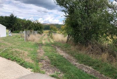 Teren extravilan 38.000 mp in sat Daia / com. Rosia / jud. Sibiu - 2