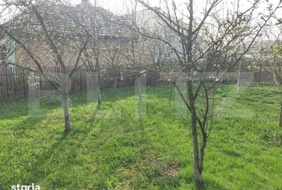 Casă cu 2 camere cu Teren 8291 Mp în Central - 4
