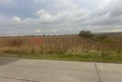 Teren intravilan de 22800 mp, în Joița - 8