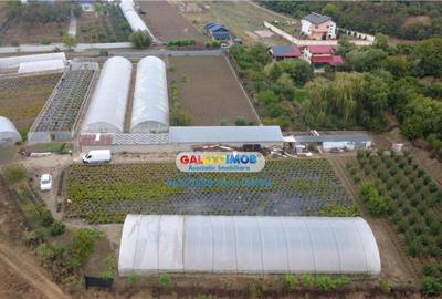 Teren de 9529 mp, în Mihăilești - 7