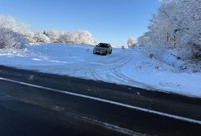 Teren intravilan 500 sau 1000 mp Bran-Tohanita la dum asfaltat - 31