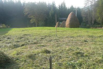 Teren intravilan situat in Traisteni - 2