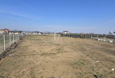 Spațiu comercial, în Sângeorgiu de Mureș - 9