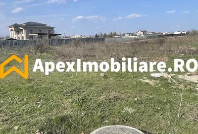 Teren Construcții intravilan de 1300 mp, în Bragadiru - 4