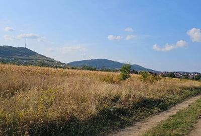 Teren de 400 mp, în Central