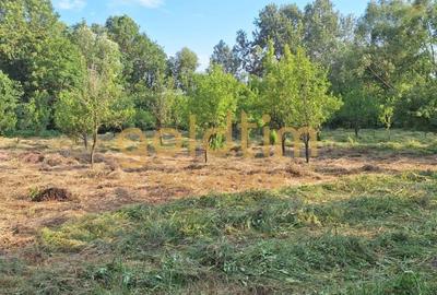 CASA IN ZONA LINISTITA/MOBILATA/UTILATA/TEREN IMPRESIONANT 5000MP/CORNU/PRAHOVA - 55