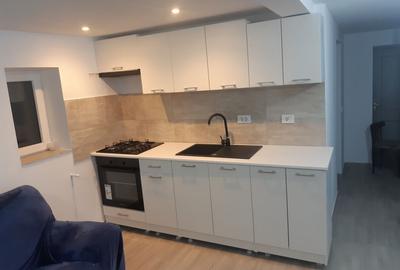 Casă cu 4 camere în Prisăcani - 14