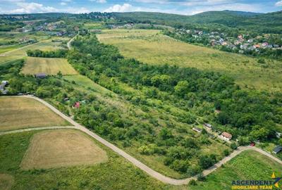 Teren de 4500 mp, în Nord - 3