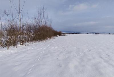 Teren Construcții intravilan de 2810 mp, în Sineu - 5