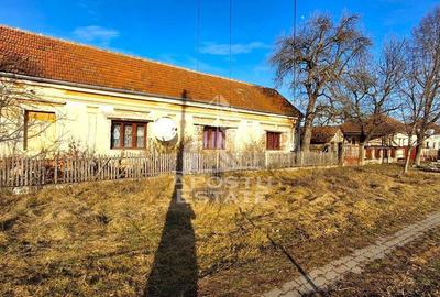 Casa de caramida in Tela si Teren Generos de 4320 mp - 2