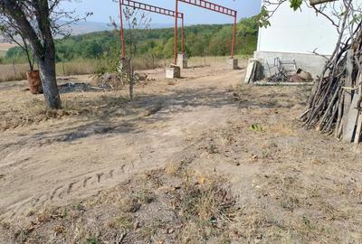 Hala pe Structura Metalica+ Casabatraneasca + 4800 m2 - 2