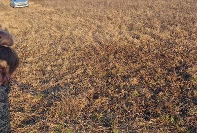 Teren agricol extravilan de 2180 mp, în Gârbău - 1