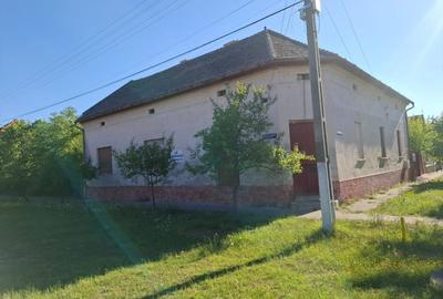 Casa spatioasa cu spatiu comercial pe colt in Nadlac - 2