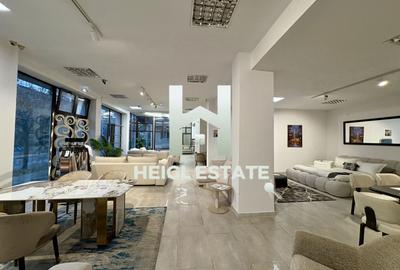 Spațiu comercial, de 470 mp, în Șagului - 9