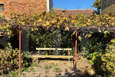 Casa de vanzare in centrul Pancota cu magazin ?i depend - 1