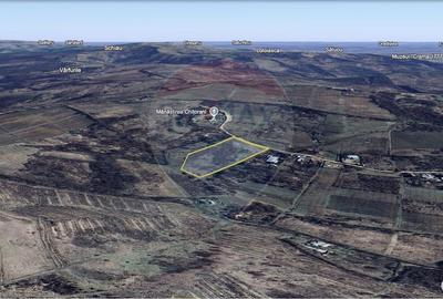 Teren de 33500 mp, în Bucov