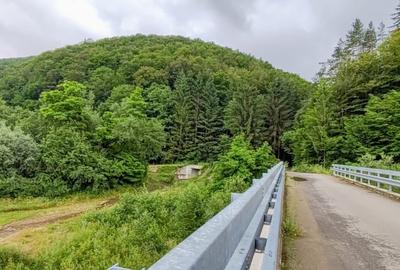 2,64 Ha TEREN SUPERB pe malul raului Crisul Repede padure parau NEGRENI - CLUJ - 17