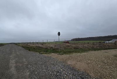 Spațiu comercial, în Chișirid - 4