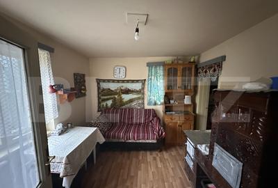 Teren 3000 mp + 2 case de vanzare-Ca?eiu - 3