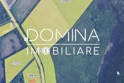 Teren de 20386 mp, în Câlnic - 5
